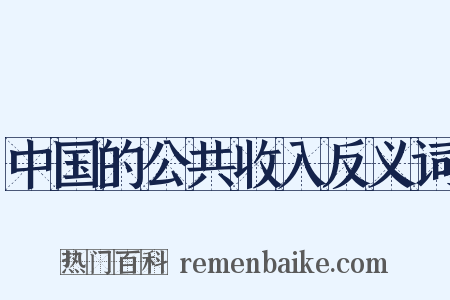 中国的公共收入反义词是什么意思的图片